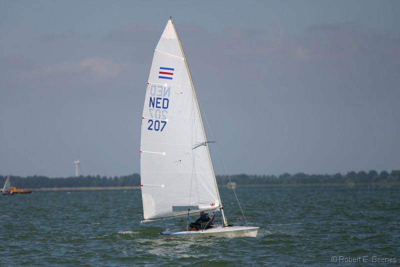 NED207-001 