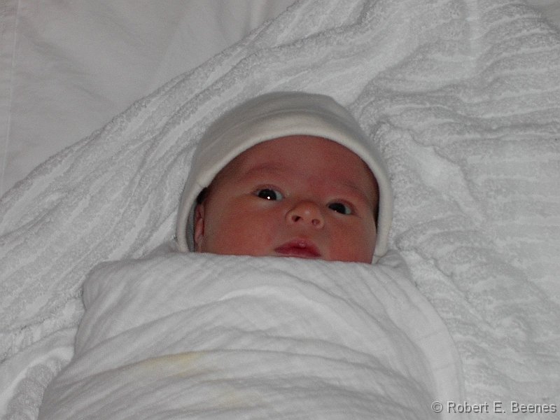 PICT0044