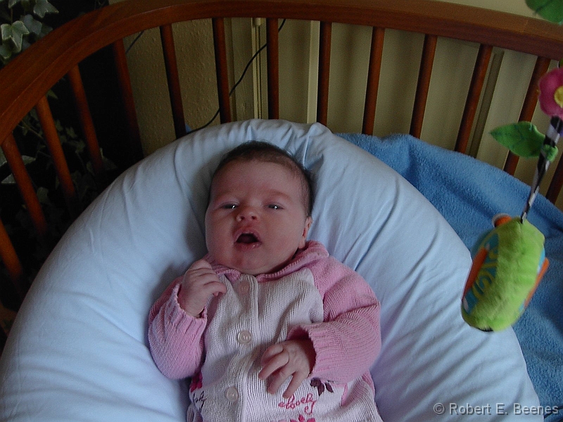 PICT0106