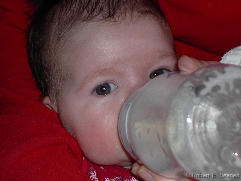 PICT0118